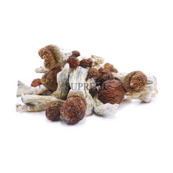D251A1-PENISENVY#6-SHROOMS-SUPREME