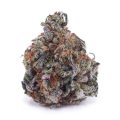 D642A1 SUPERSKUNK SUPREME