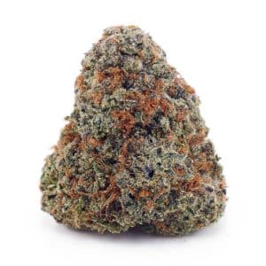 Buy Gouda Berry AAAA at Supreme Dispensary