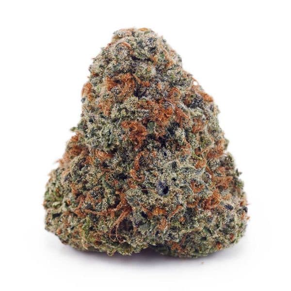 Buy Gouda Berry AAAA at Supreme Dispensary
