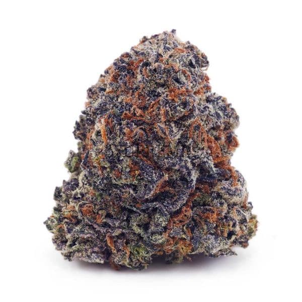 D853A1-SNOOPDOGOG-SUPREME