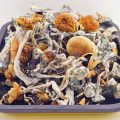 Buy Daddy Long Legs Mushrooms at Supreme Dispensary