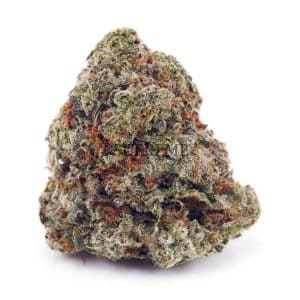 Buy Astro Cookies AAA at Supreme Dispensary