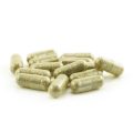 Microdosing Mushroom Capsules