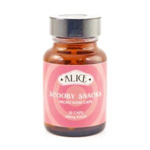 Alice Psilocybin Mushroom Mirco-Dose Capsules – Scooby Snacks