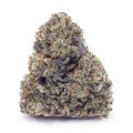 Buy Silver Haze AAA at Supreme Dispensary