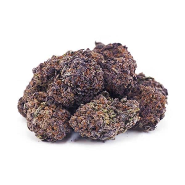 A22A2 PURPLEKUSH SUPREME