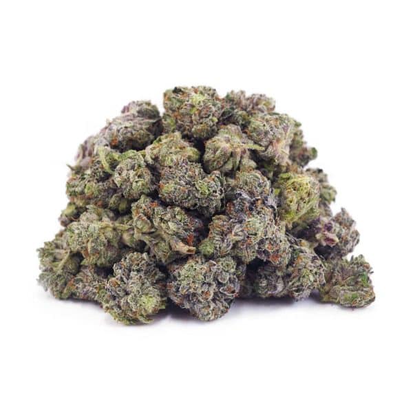 A34A1 PLATINUMBUBBA SUPREME 1 A34A1 PLATINUMBUBBA SUPREME 1