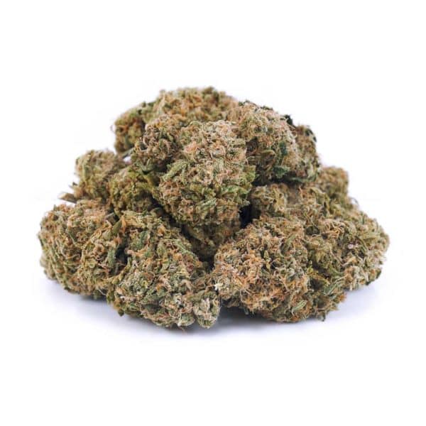 A36A2 PEACHRUNTZ SUPREME A36A2 PEACHRUNTZ SUPREME