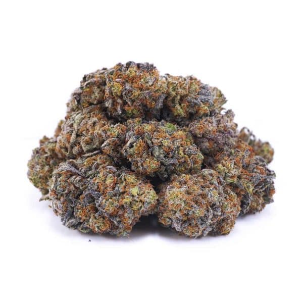 A41A2 PURPLEBISCOTTI SUPREME