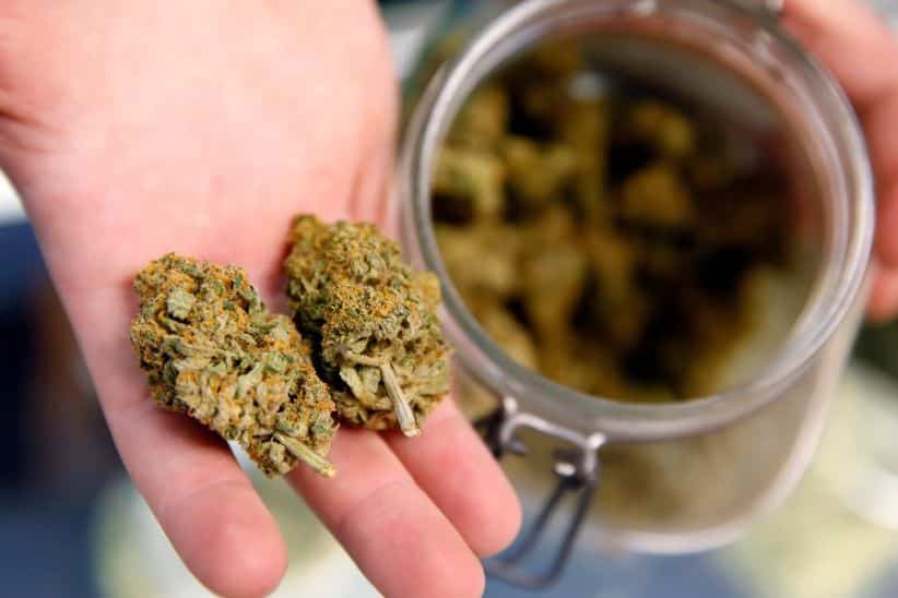 Buy weed online in Canada to experience the numerous advantages of online shopping for weed. 