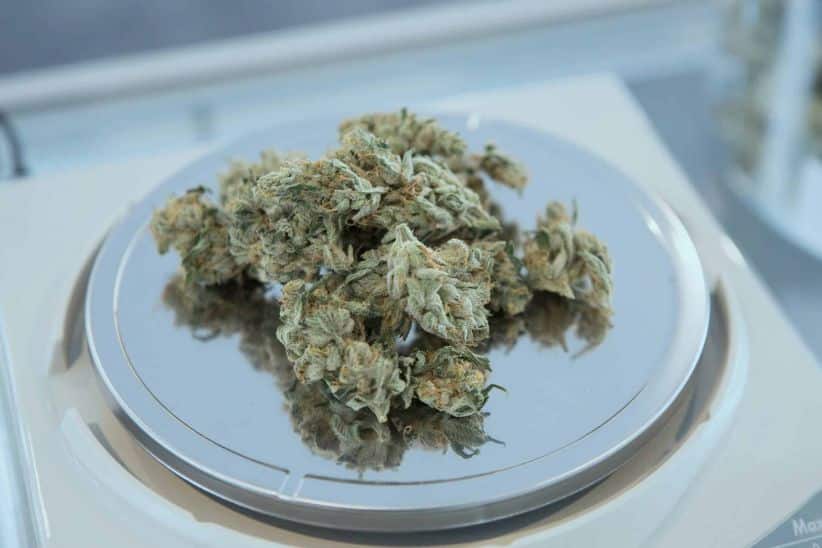 Various characteristics give weed products different price points. Knowing how these factors affect the prices can help find cheap weed online in Canada without sacrificing quality.