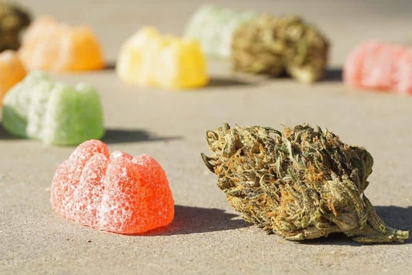 With an idea of what cannabis edibles are, you might want to try options like gummies, chocolate bars, or even cannabis-infused teas.