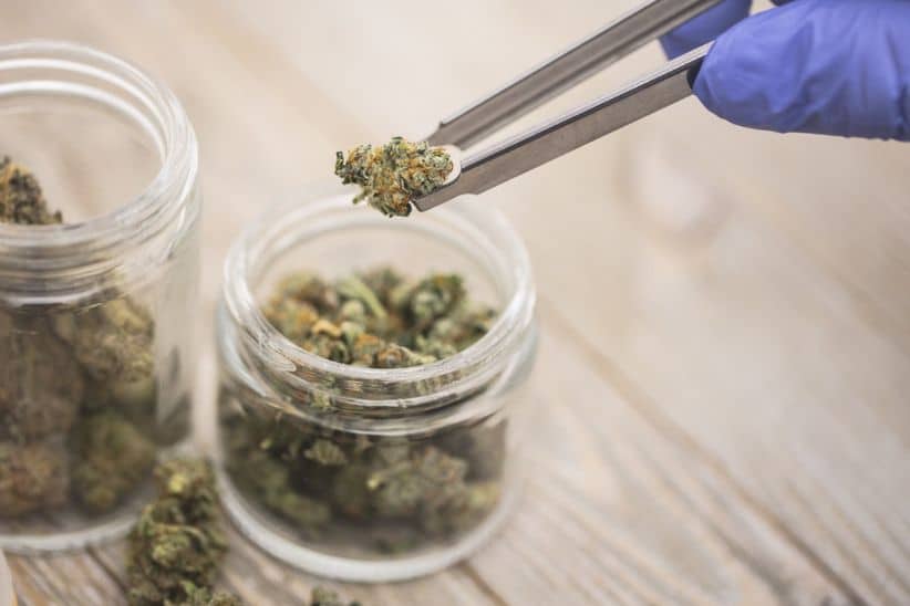 As mentioned above, you can now buy Canadian weed online efficiently with the right cannabis store.