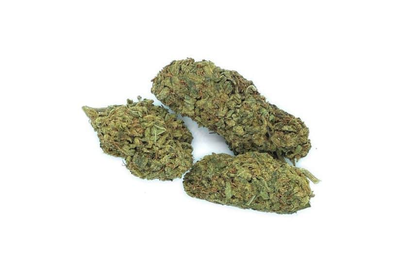 A fast review of our online weed dispensary is a near-limitless supply of discounted cannabis at your fingertips. 