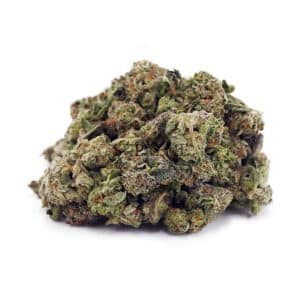 Champagne Kush AAAA - (Popcorn Buds)