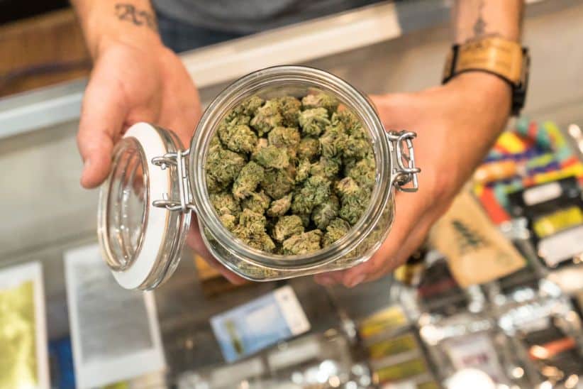 The best place to find quality cheap weed online in Canada is from legacy stores such as Supreme Dispensary. 