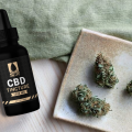 One Life Tincture – 1000mg CBD