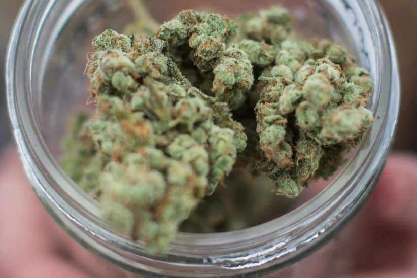 If you want something premium at a Canadian online dispensary, look for AAAA-grade cannabis or craft cannabis, which represents rare and exotic options.