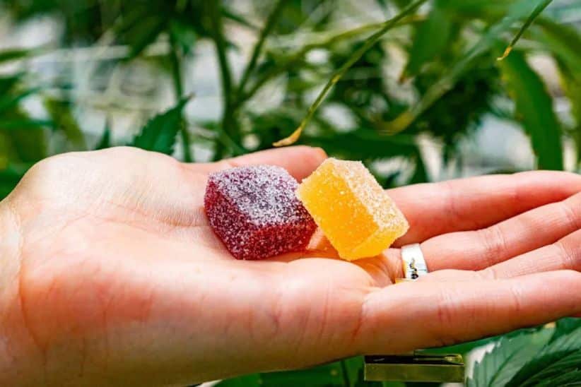 There are so many goodies with cannabis edibles online, and that’s great for stoners.