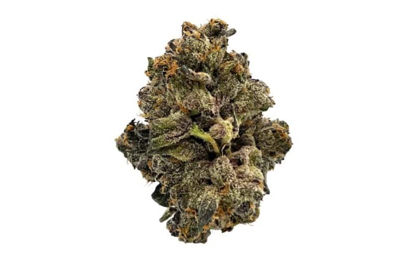 When you want to buy pot online in Canada, it's essential to understand the various types of cannabis, as each is unique in its deliverables.