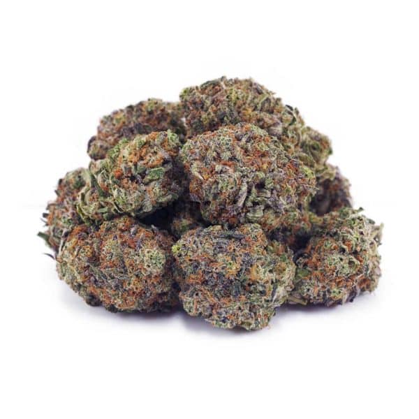 V411A2 FLOWER FORBIDDENFRUIT SUPREME