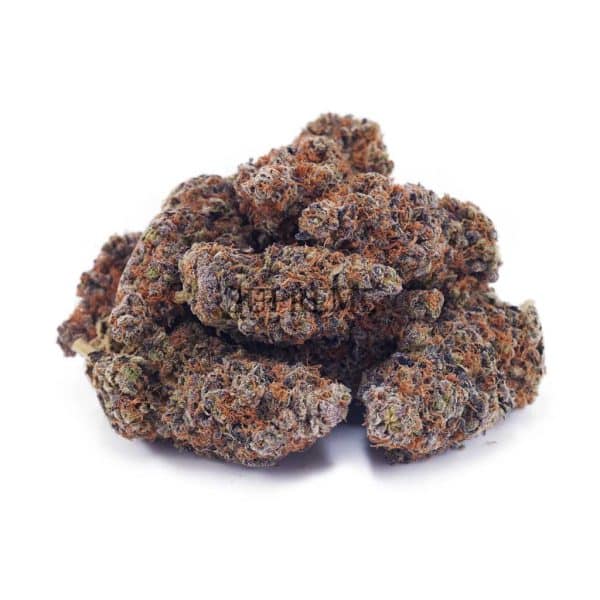 V411A2 FLOWER PURPLEFROST SUPREME V411A2 FLOWER PURPLEFROST SUPREME