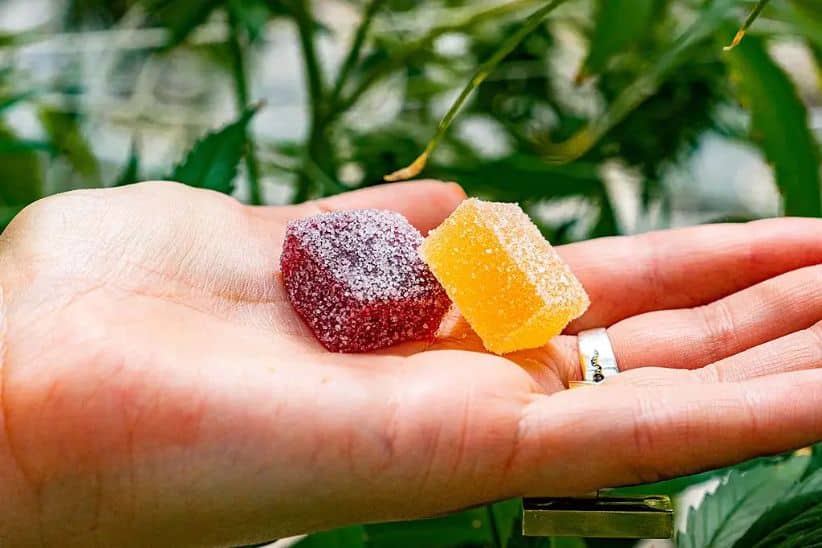 Edibles are the food and drinks infused with cannabis and include brownies, chocolates, muffins, infused water, teas, cocoa, etc.