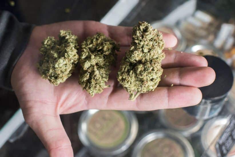 Enjoy our weed deals, which offer the cheapest weed online in Canada. Buy Canadian weed online with us today for the best cannabis experience.