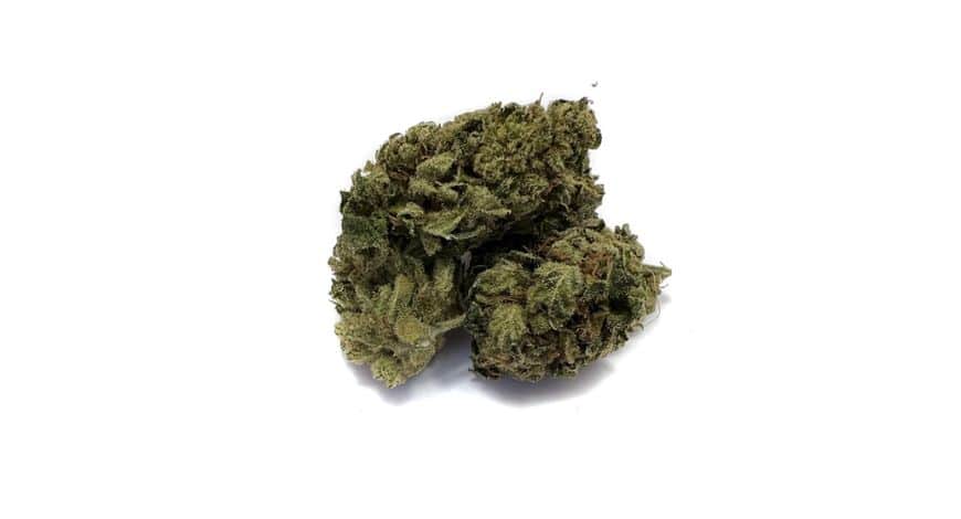 Get expert tips on how to buy online pot in Canada. Access cannabis products easily while ensuring a secure & convenient shopping experience.
