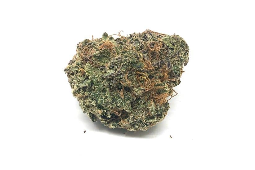 Again, this strain is rich in terpenes, especially Limonene, Humulene, and Caryophyllene. These terpenes make Greasy Pink smell and taste heavenly and possibly increase the already beneficial effects.