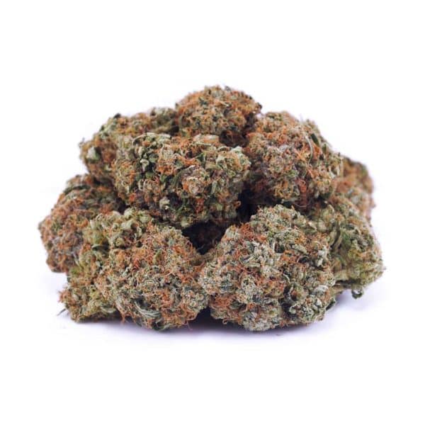 A61A2 GASMASKBUBBA SUPREME A61A2 GASMASKBUBBA SUPREME