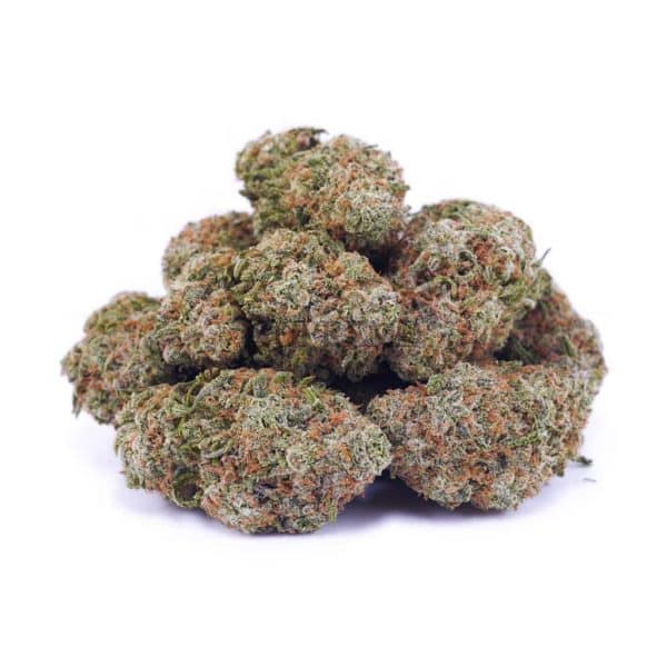 A64A2 JACKHERER SUPREME A64A2 JACKHERER SUPREME