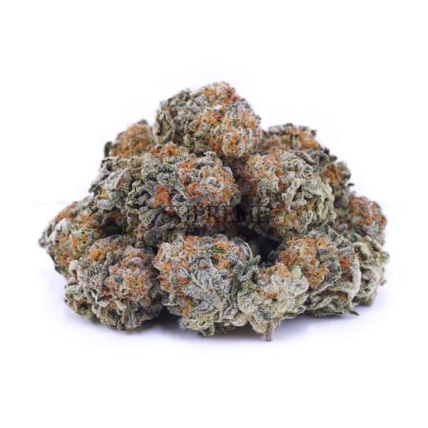 A71A2 FORTUNECOOKIES SUPREME A71A2 FORTUNECOOKIES SUPREME