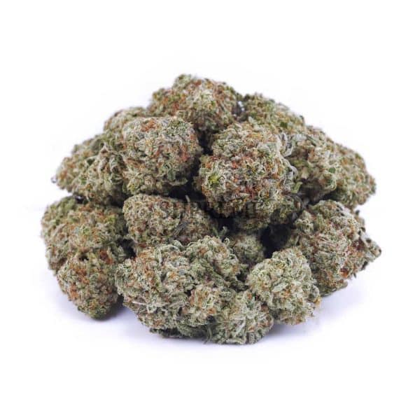 A91A2 WHITERHINO SUPREME