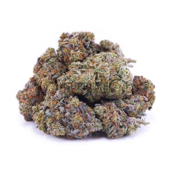 A95A2 PURPLEDREAM SUPREME A95A2 PURPLEDREAM SUPREME