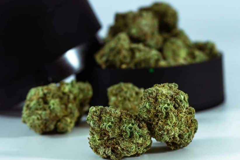 High THC indica strains in Canada are great when you want to unwind after a busy day or even boost your appetite and promote good sleep.