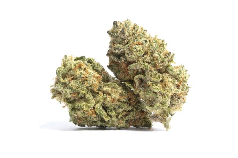 The first step before you buy indica online is to research a credible cannabis store in Canada that you can trust with your money and cannabis needs.