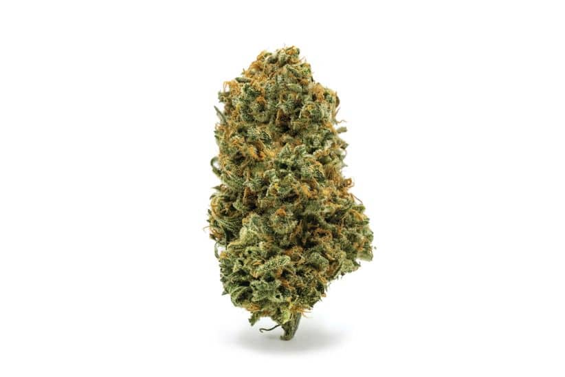 If you're looking for an online dispensary in Canada that meets all the criteria (and more), SupremeDispnesary is your solution.