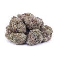 Buy Purple Punch AAAA at Supreme Dispensary
