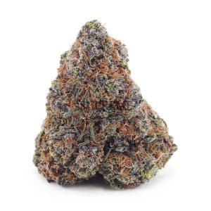 Buy Apple Fritter (Craft Cannabis) at Supreme Dispensary
