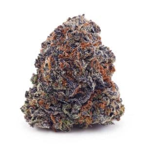 Buy Chocolope AAA at Supreme Dispensary