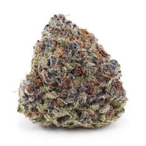 Buy Snow White AAAA at Supreme Dispensary