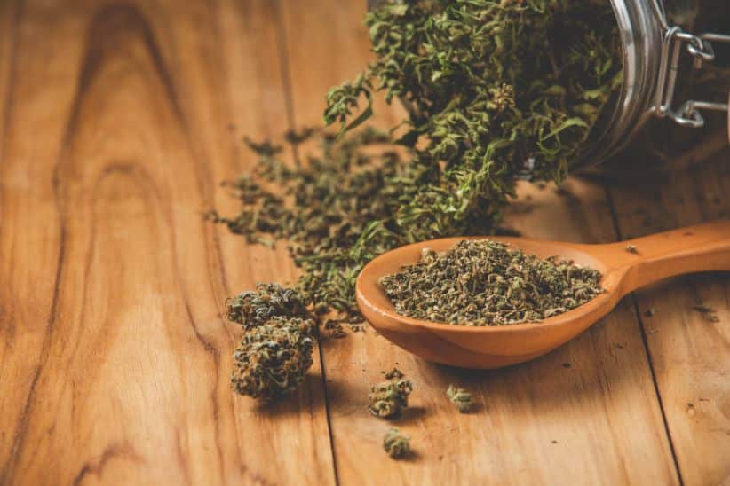 The Do si Dos Strain is typically around 60 – 70& indica-based and has a compact, stout overall structure. 
