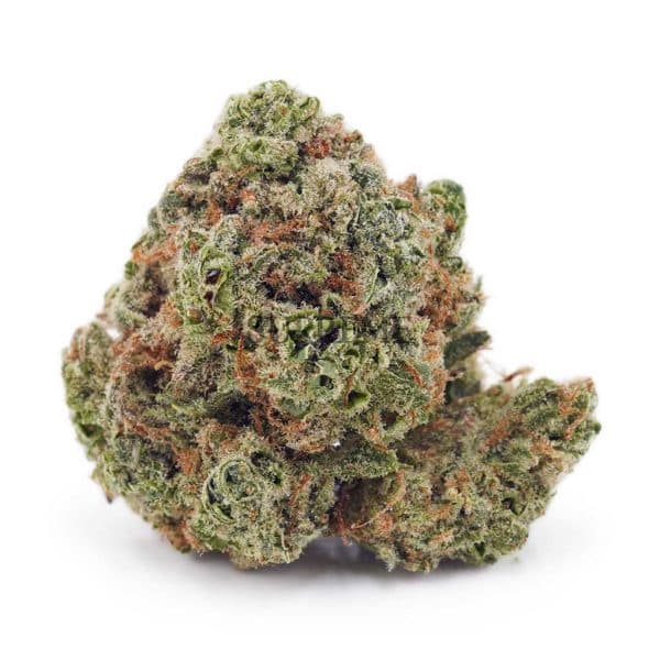 Buy White Rhino AA at Supreme Dispensary Buy White Rhino AA at Supreme Dispensary