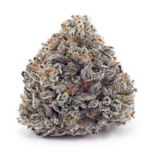 Buy Island Sweet Skunk AA at Supreme Dispensary