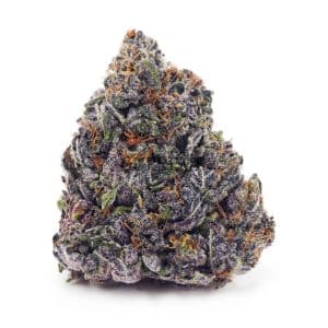 Buy White Truffle AAAA at Supreme Dispensary