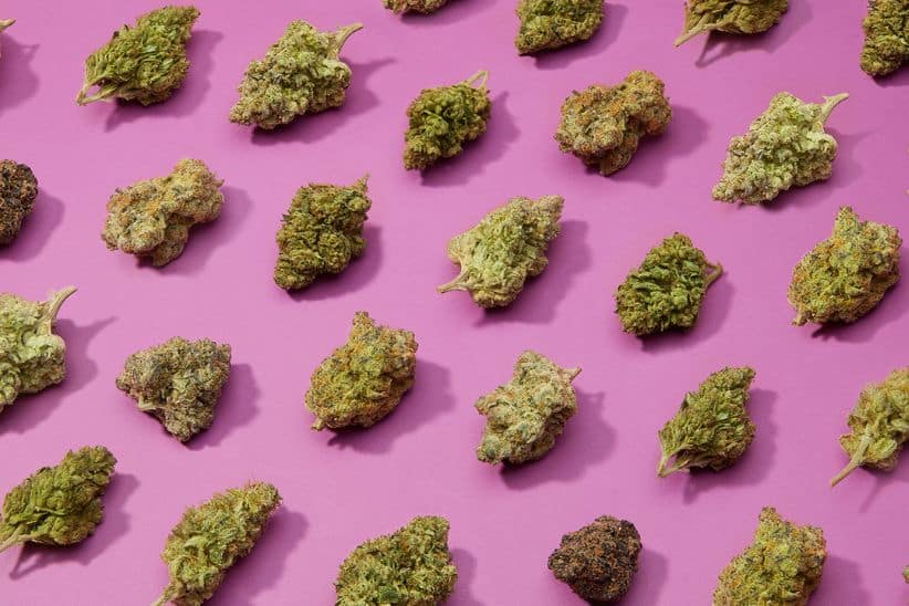 If you're considering buying high-THC indica strains in Canada, you deserve the best.