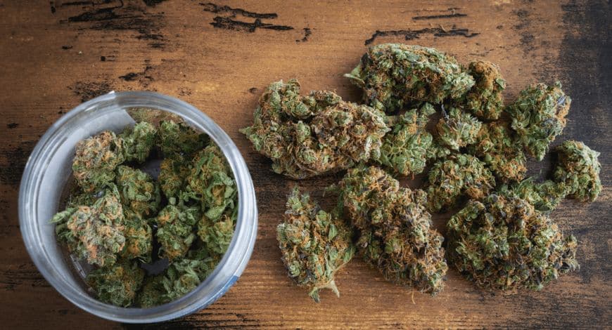Brace yourself for the high-THC indica strains in Canada. These powerful buds offer intense relaxation. See which strains are top-rated.