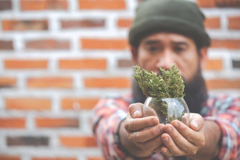 If you buy weed online in Canada and need an online weed dispensary that has this strain, then Supreme Dispensary has most of what you need to enjoy your Dos Si Dos. 